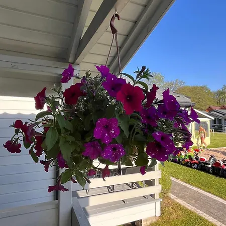 Rumiankowa Polana Orman Evi