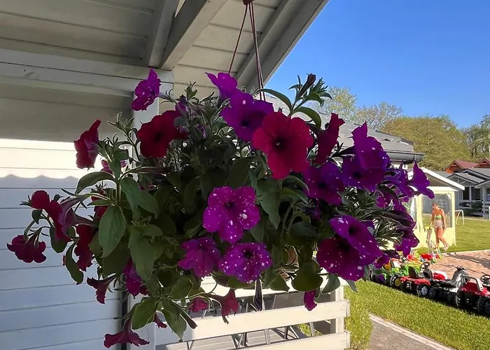 Rumiankowa Polana Lodge